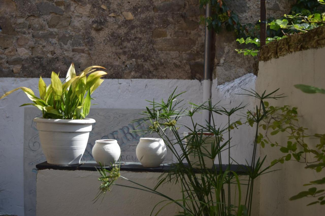 L'Ancienne Boulangerie Bed and Breakfast Caunes-Minervois Εξωτερικό φωτογραφία